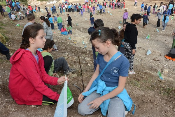 חינוך סביבתי