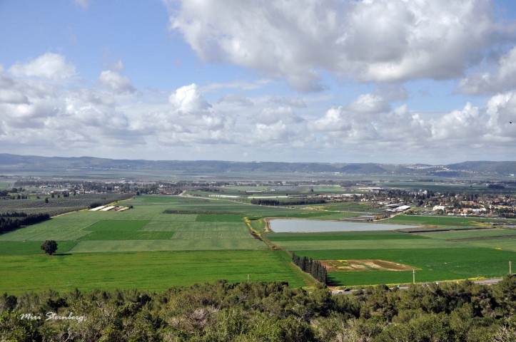 נוף עמק יזרעאל