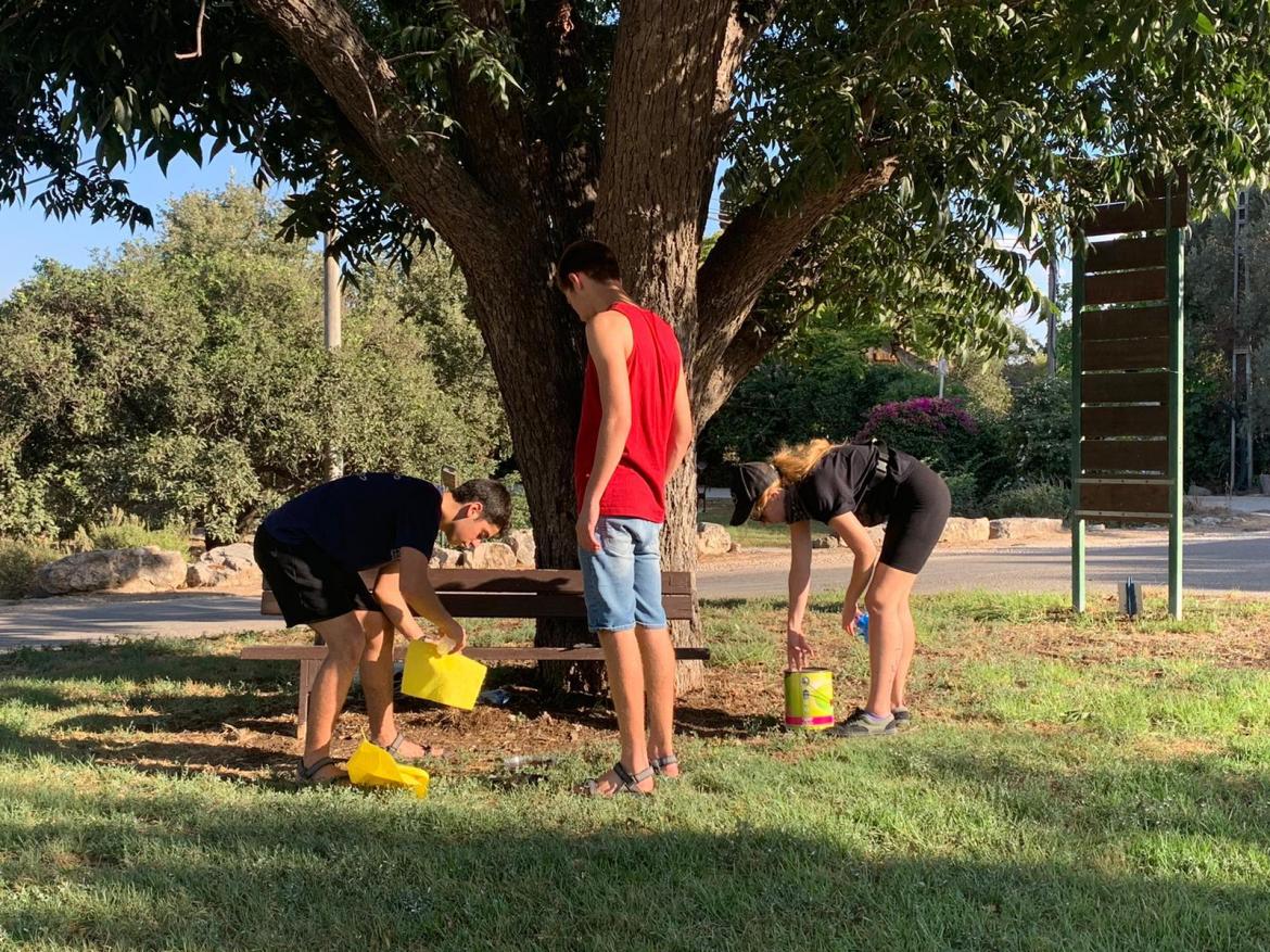 תעסוקיץ יזרעאלי - גינון