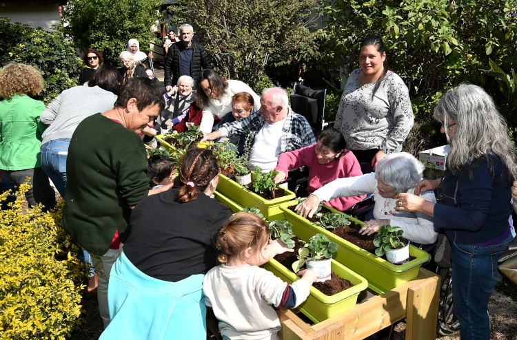 צילום: שאול רחמים