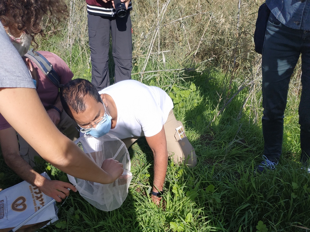 מנטרי הפרפרים בעמק