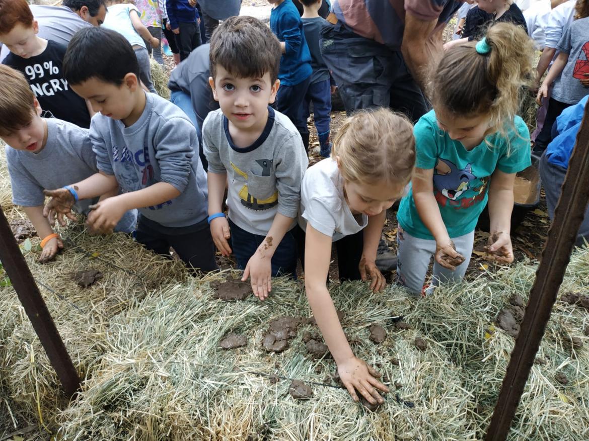 ילדי גן כלנית בקיבוץ אלונים בונים טוקול