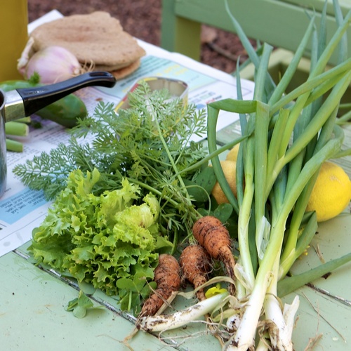 שף דורון בר און