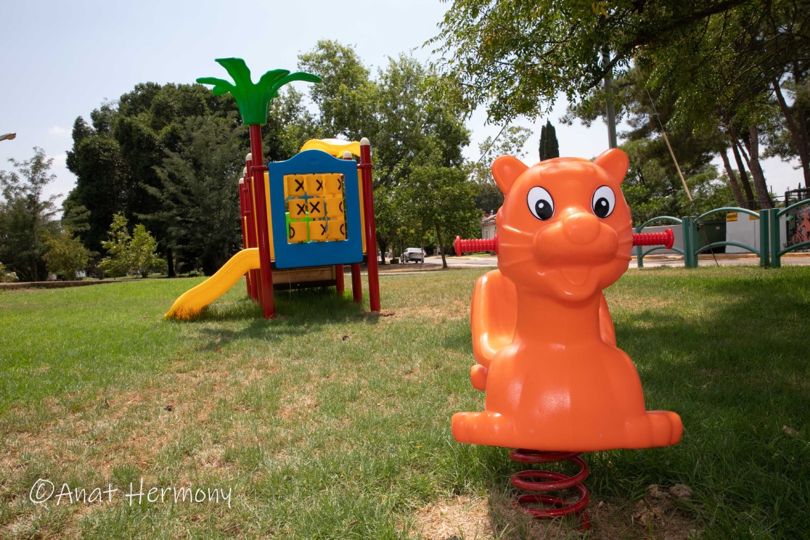 מחנה יהודית