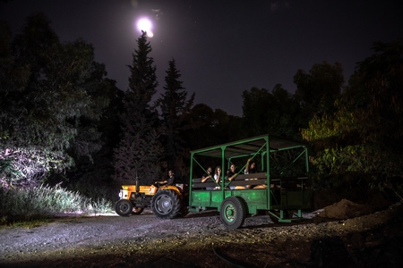 אש לילה בגבת