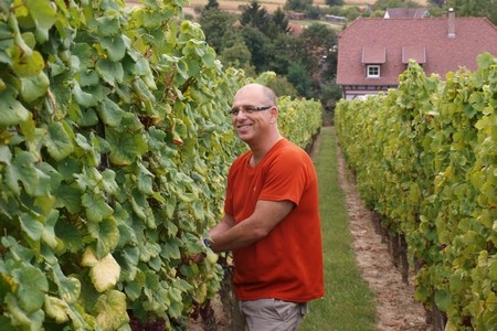 בכרם הענבים