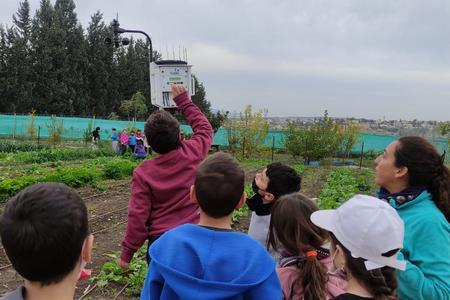 מדידות בחווה החקלאית
