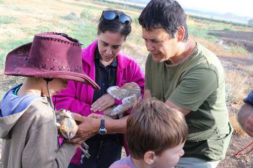 טיבוע תנשמות
