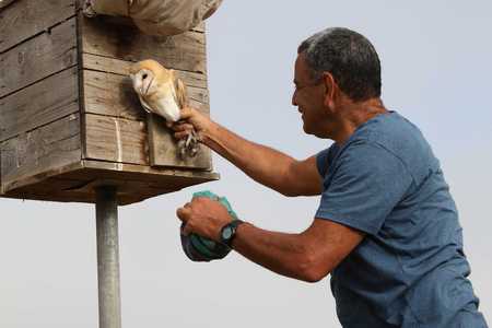 תיבת קינון לתנשמות