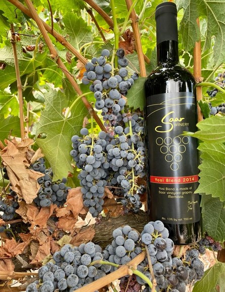 בקבוק יין ליד אשכול ענבים 