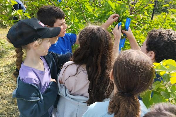 ילדות וילדים בעת מדידה