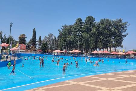 פעילות במימדיון