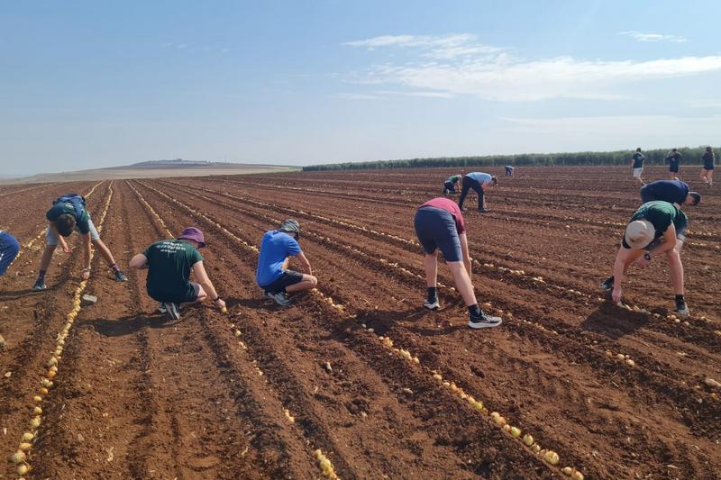 תלמידים עובדים בחקלאות