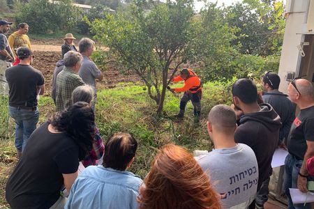 תושבים בסדנת גיזום עצי פרי