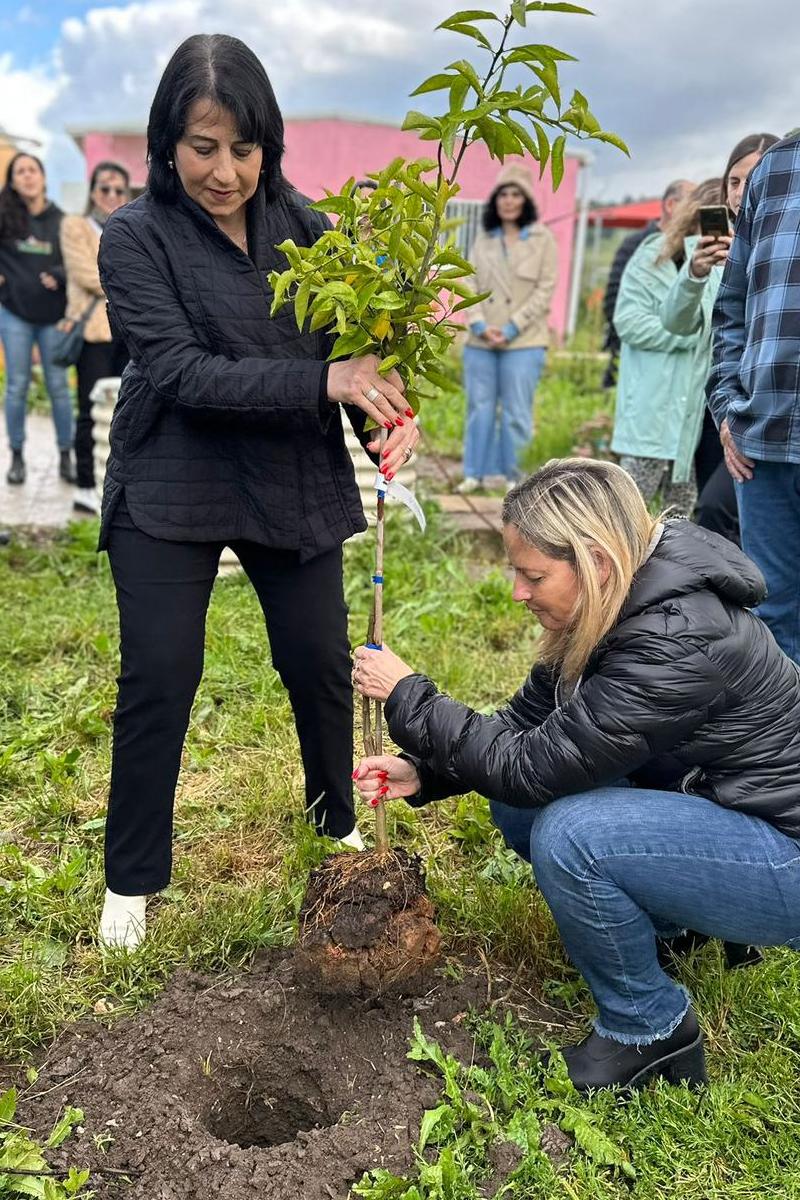 שלומית נוטעת עץ