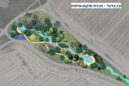 הדמיה - עין עדעד, תכנית שיקום ופיתוח