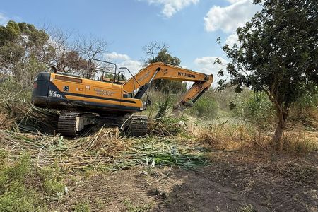 עבודות שיקום עין עדעד