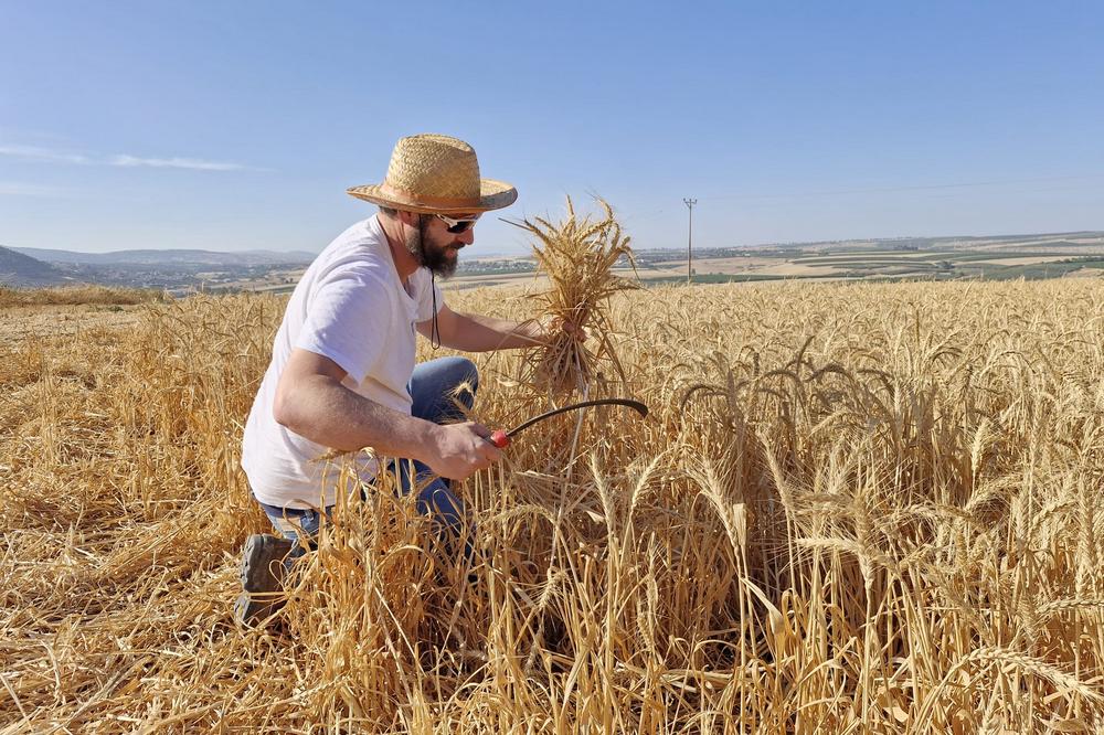 פעילות בנושא קיימות