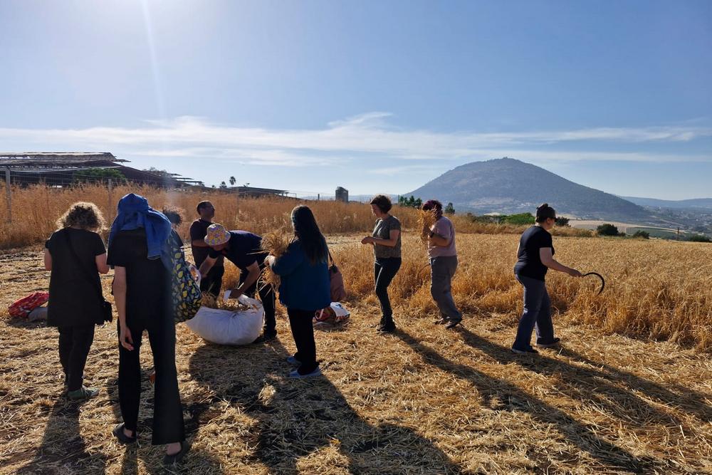 פעילות בנושא קיימות במוזיאון עין דור