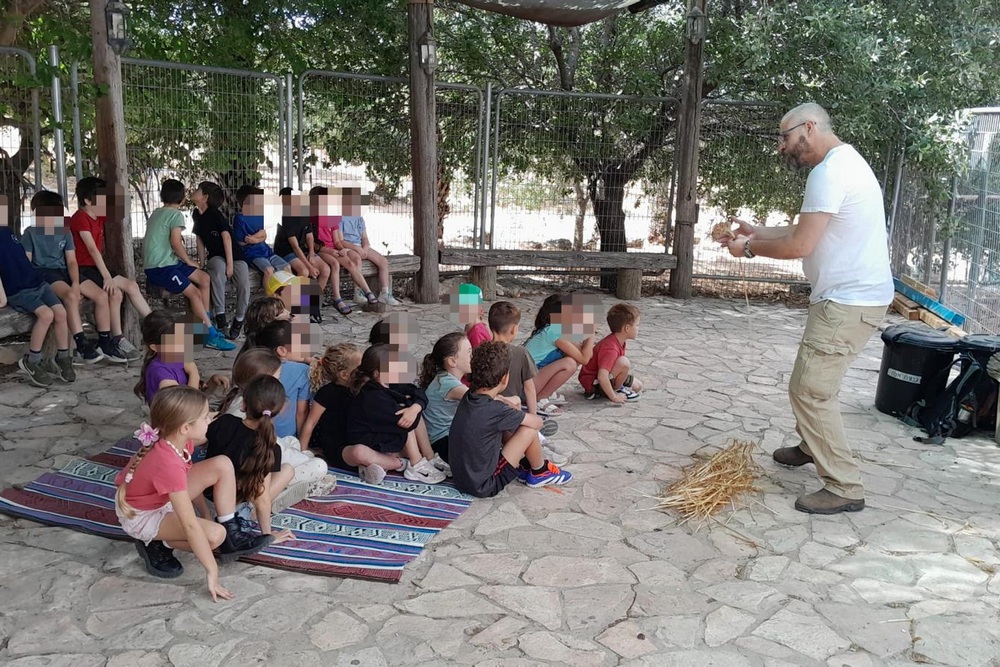 פעילות קיימות במוזיאון עין דור