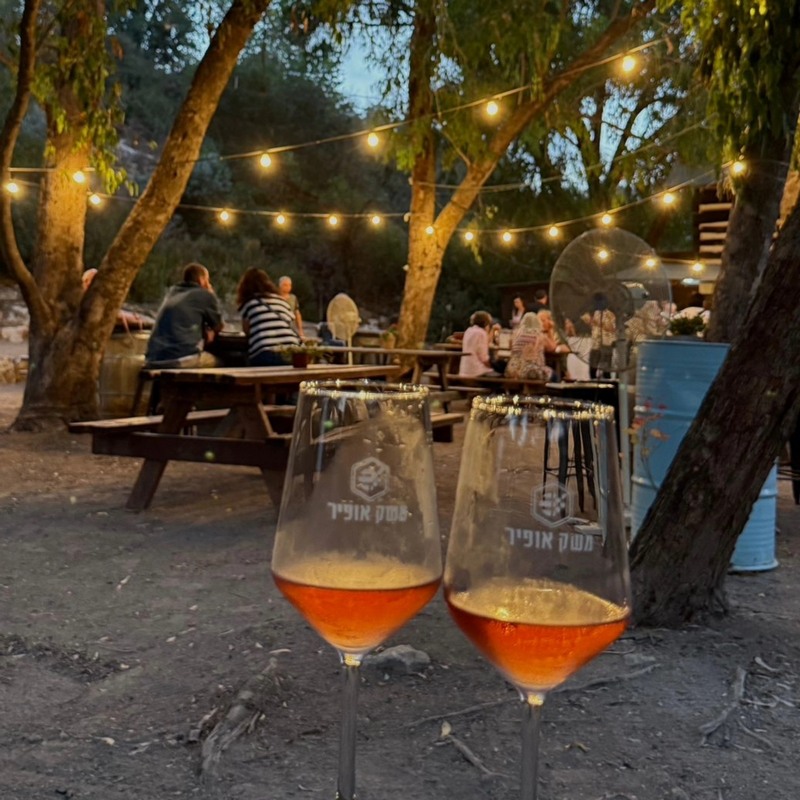 אירועי לילה לבן בעמק 