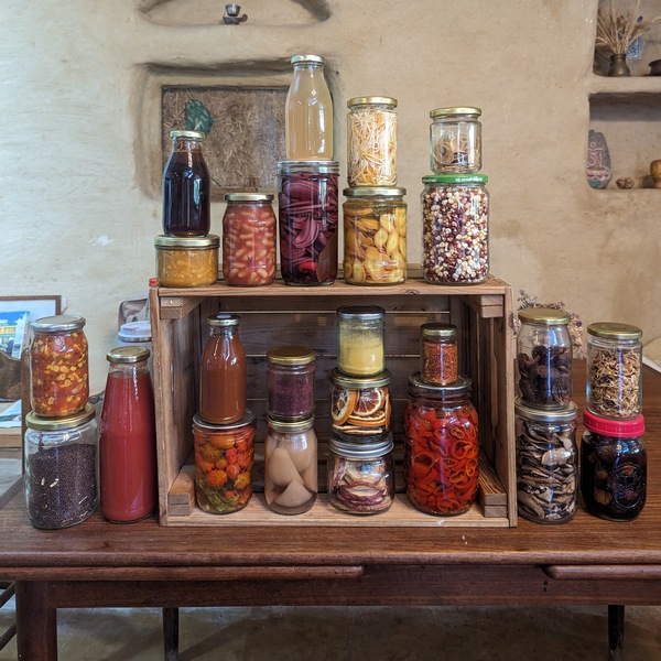 תוצרים מהקורס