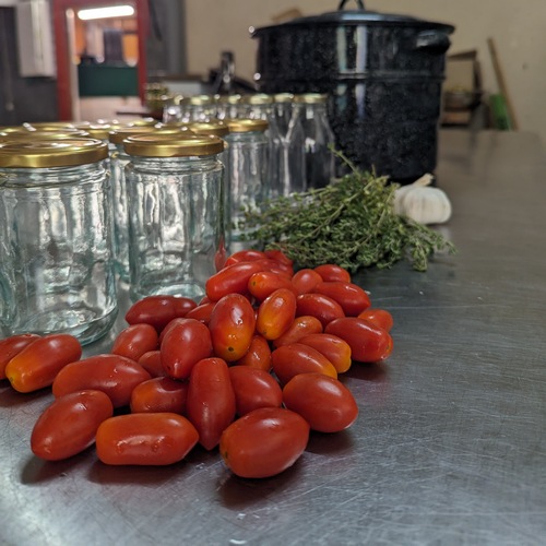 עגבניות שרי וצנצנות