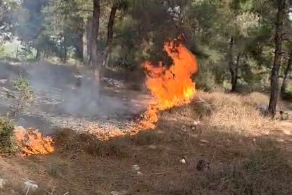 שריפה בכפר החורש