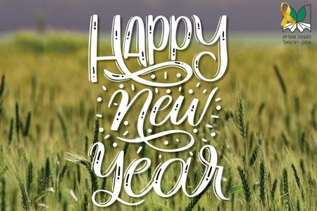 שנה אזרחית טובה