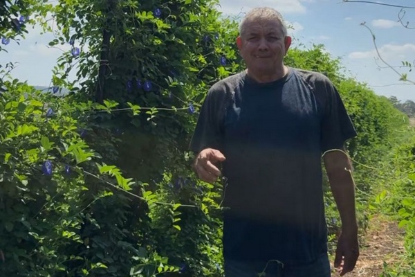 אבי ציטרשפילר - חוות התבלינים