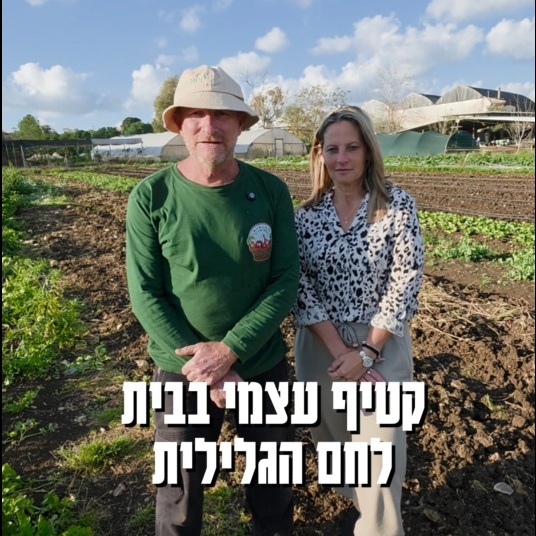 קטופותי - קטיף עצמי בבית לחם הגלילית