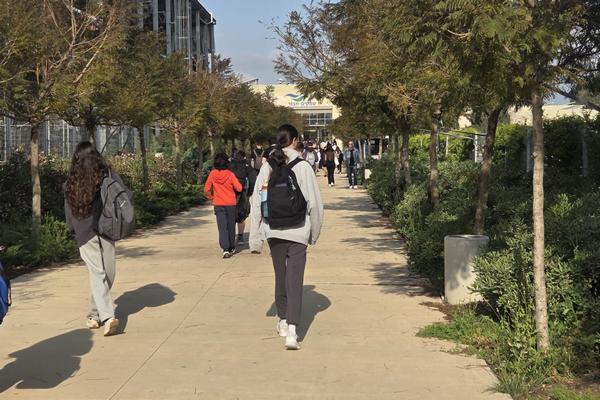 חזרה לשגרת הלימודים